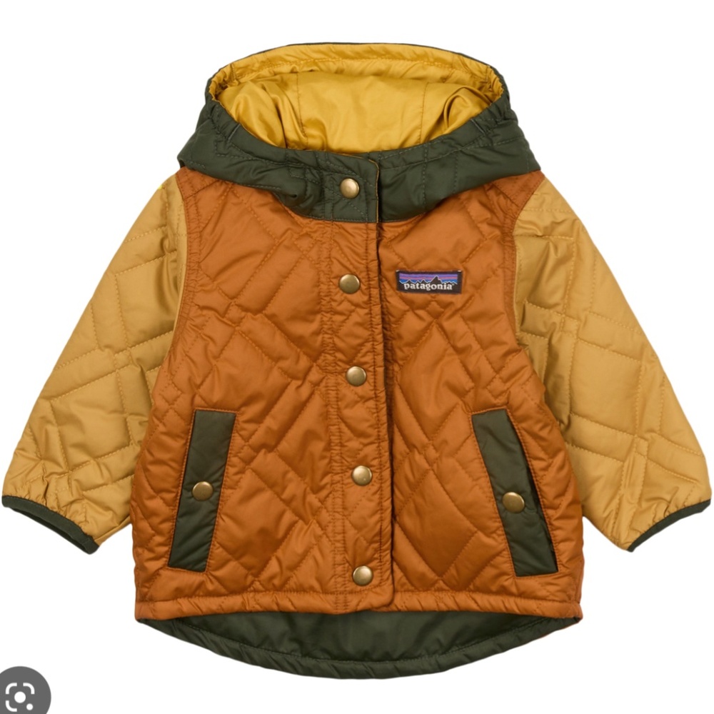ISO: Patagonia Reversible Toddler Jacket